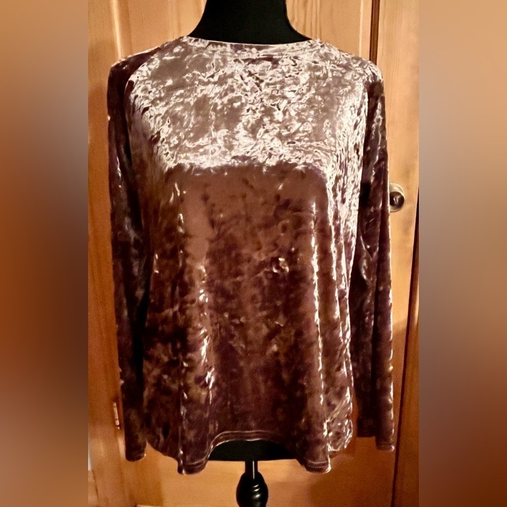 Urban CoCo SZ M Brown Crushed Velvet Long Sleeve Pullover Top Soft Shimmer Glam